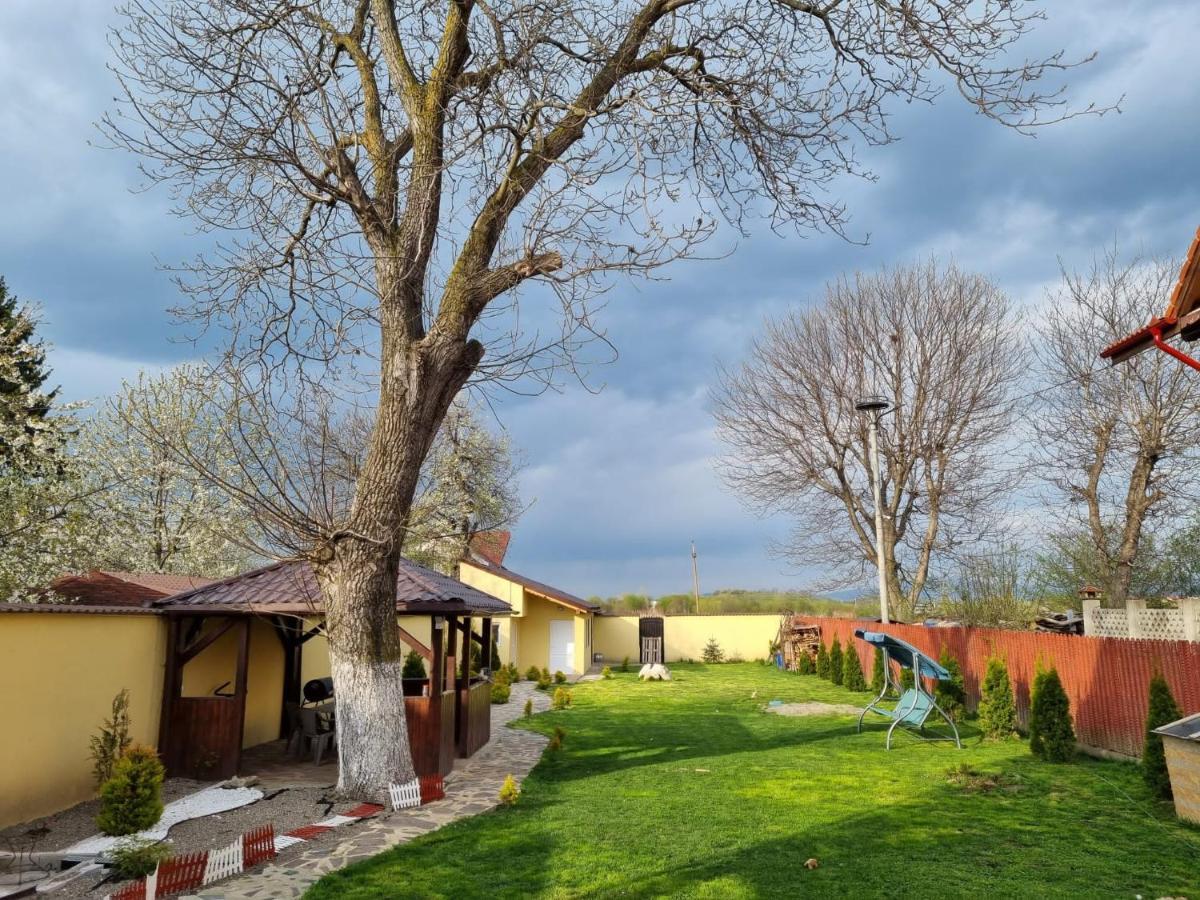 Izabella Guest House Săcele Exterior foto